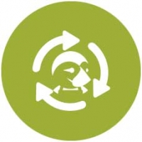 Consultoría Prestashop